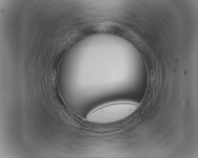 X0000062150605200512090952
