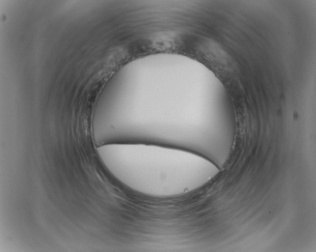 X0000062150606200512090952