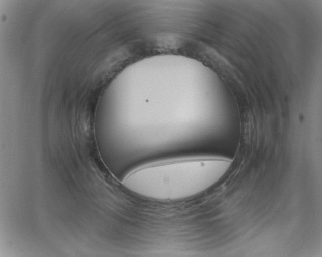 X0000062150608200512090952
