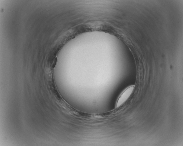 X0000062150609200512090952
