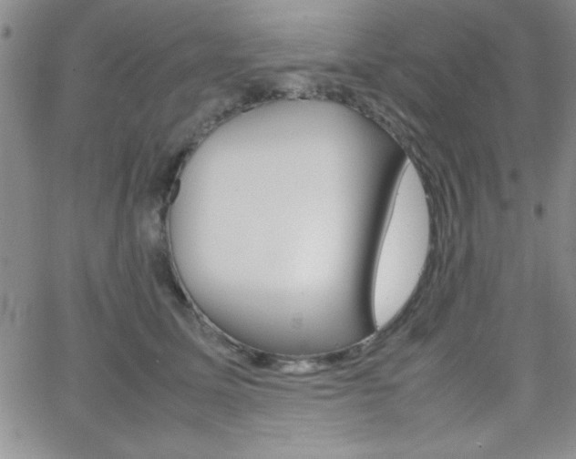 X0000062150611200512090952