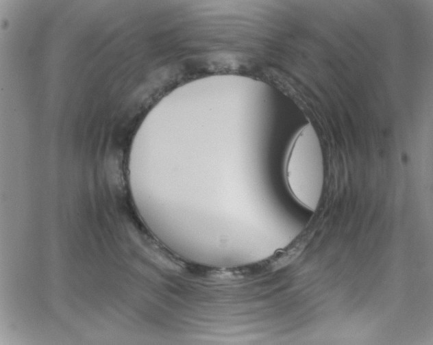 X0000062150616200512090952