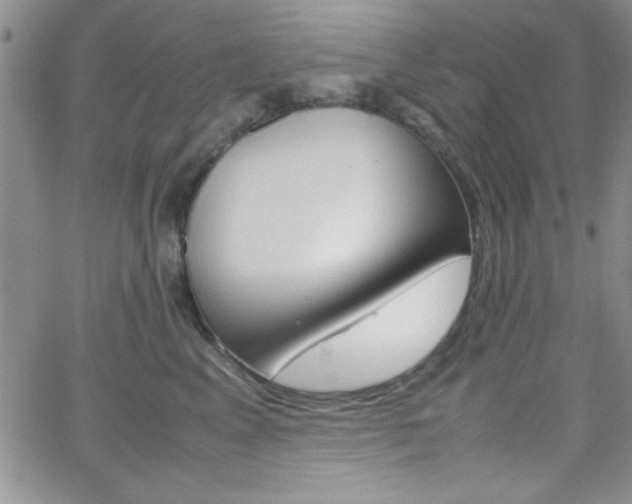 X0000062150617200512090952