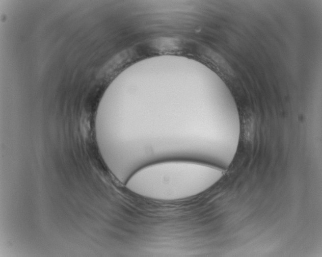 X0000062150618200512090952