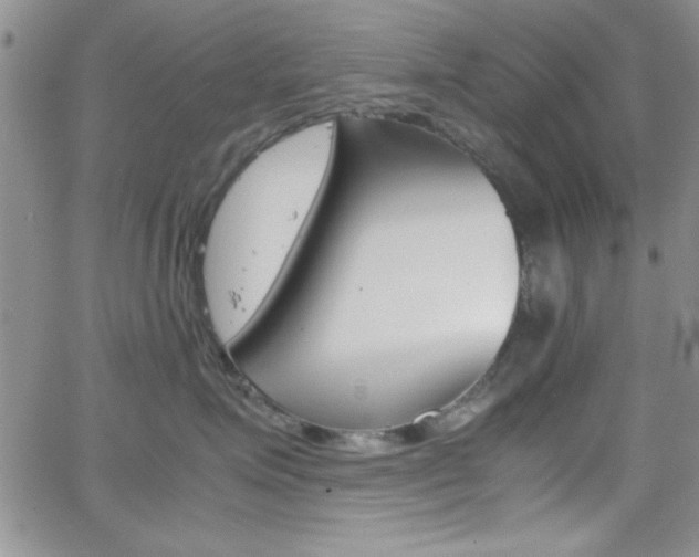 X0000062150623200512090952