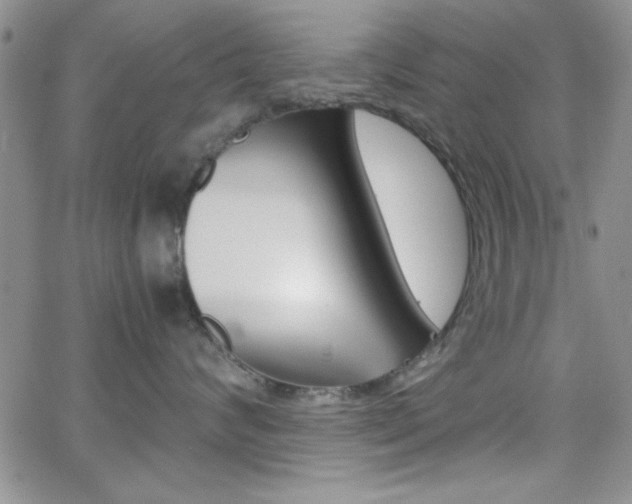 X0000062150624200512090952