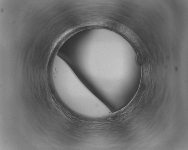 X0000062150628200512090951