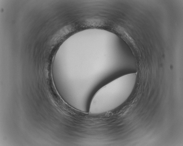 X0000062150635200512090951