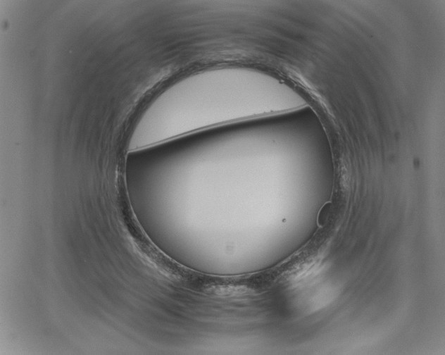 X0000062150637200512090951