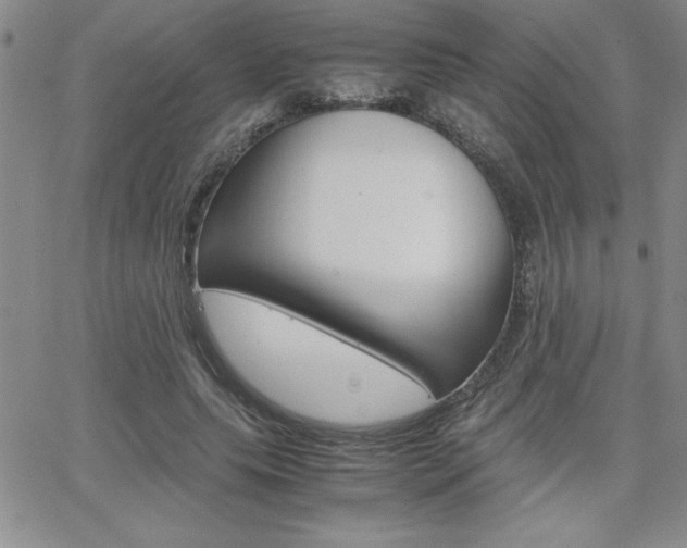 X0000062150639200512090951