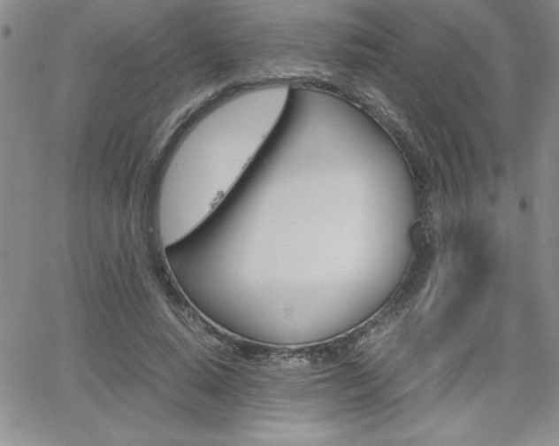X0000062150640200512090951