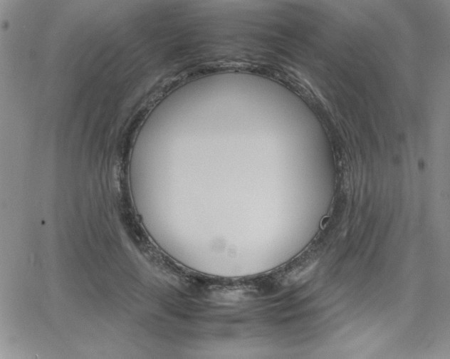 X0000062150643200512090951