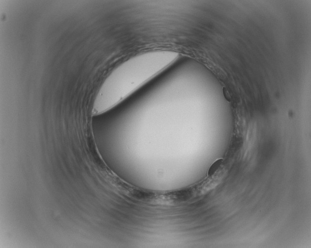 X0000062150656200512090952