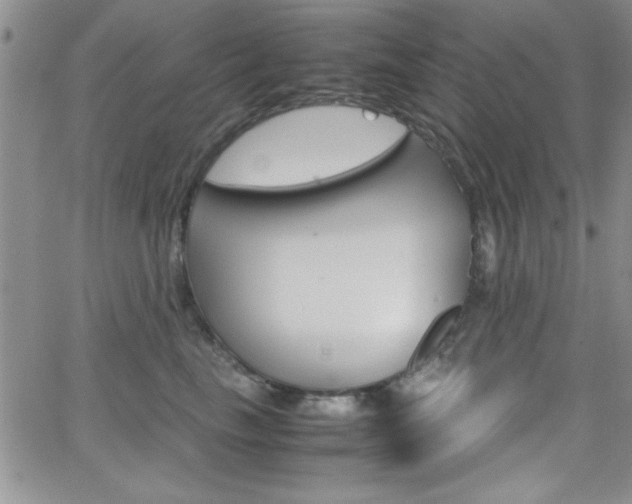 X0000062150665200512090952