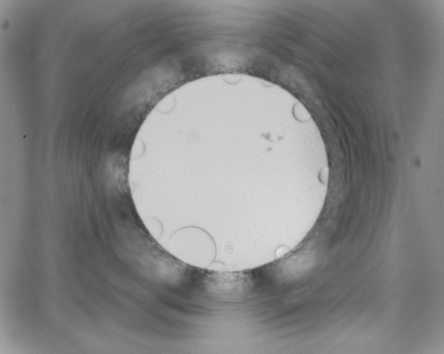 X0000062150672200512090952