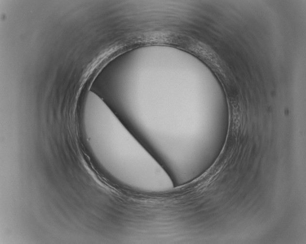 X0000062150674200512090951