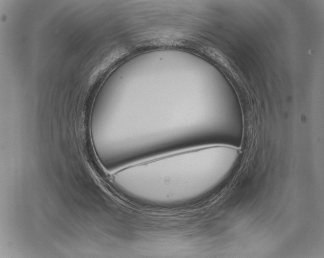 X0000062150677200512090951