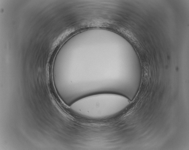 X0000062150678200512090951