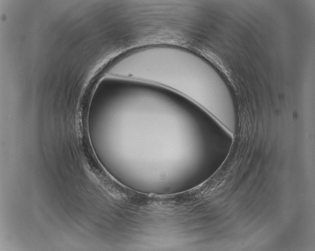 X0000062150680200512090951