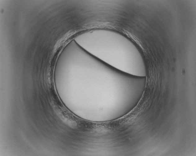 X0000062150682200512090951