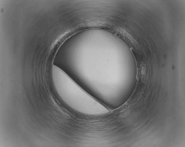 X0000062150684200512090951