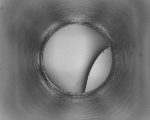 X0000062150686200512090951