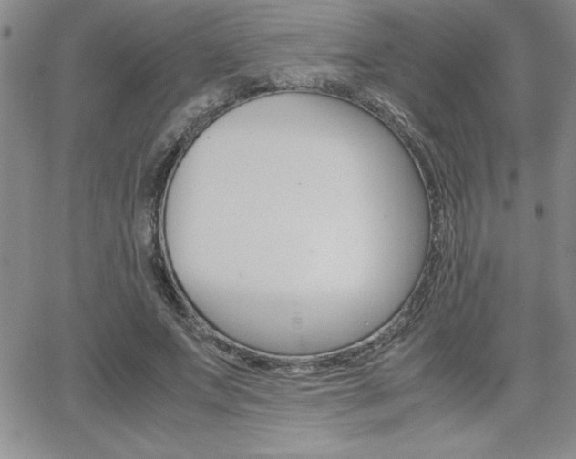 X0000062150687200512090951