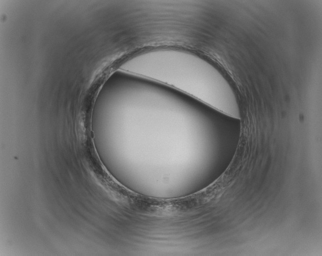 X0000062150688200512090951