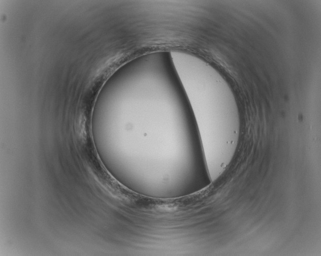X0000062150692200512090951