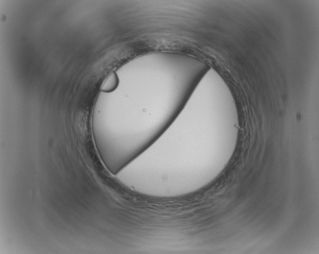X0000062150695200512090951