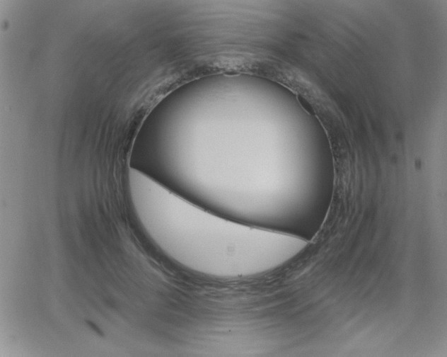 X0000062150696200512090951