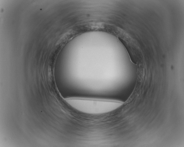 X0000062150704200512090951