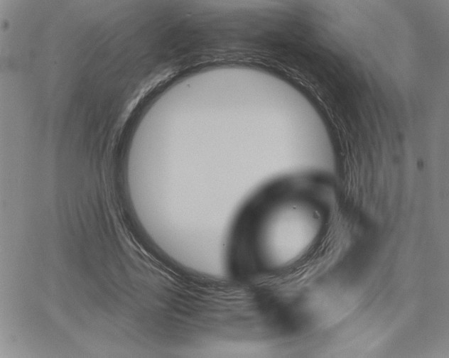 X0000062150731200512090950