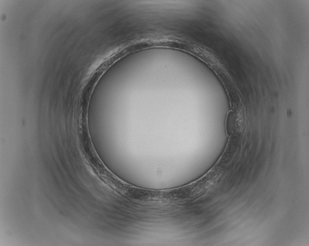 X0000062150732200512090950