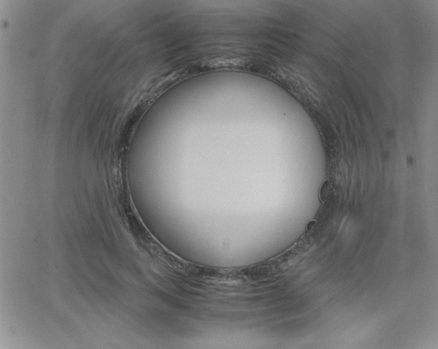 X0000062150743200512090950