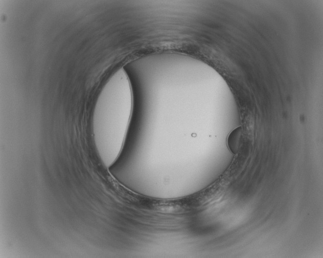 X0000062150746200512090950