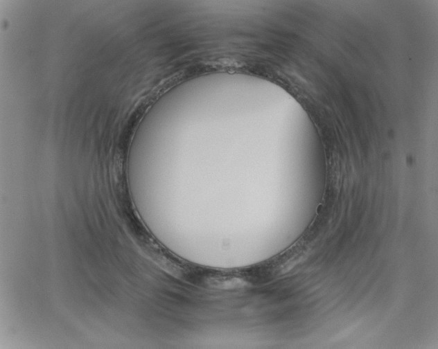 X0000062150747200512090950
