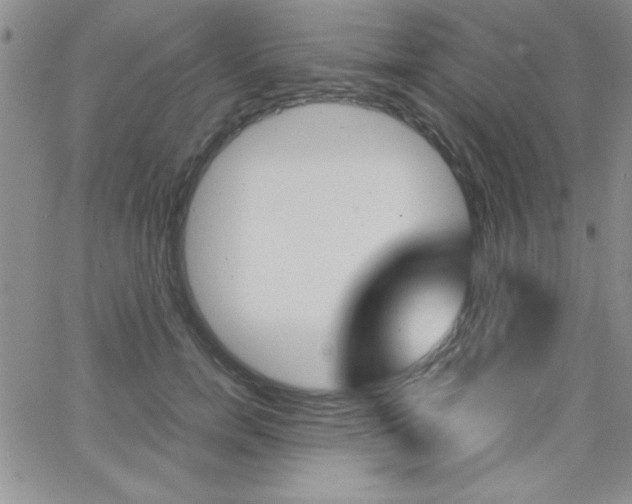 X0000062150750200512090950