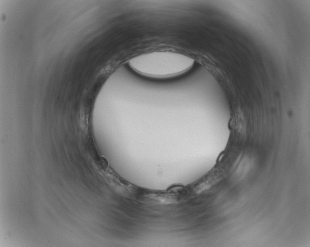 X0000062150763200512090950