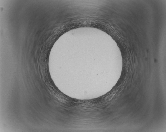 X0000062150769200512090950