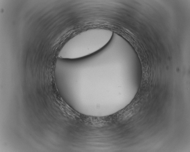 X0000062150774200512090950