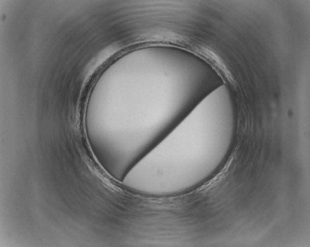 X0000062150780200512090949