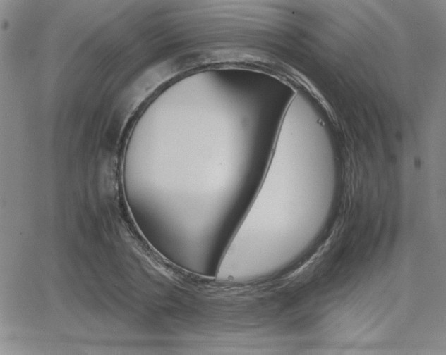 X0000062150786200512090949