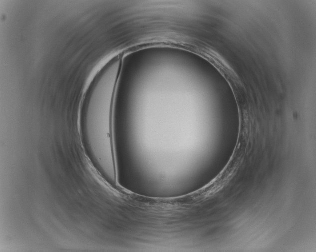 X0000062150788200512090949