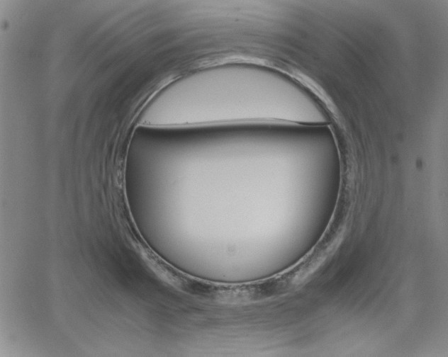 X0000062150793200512090949