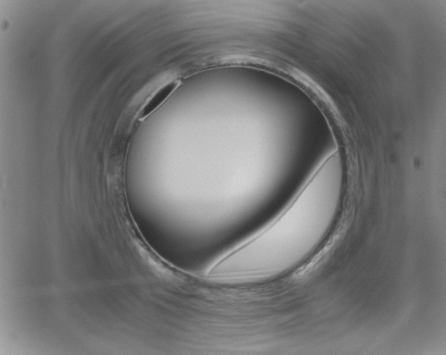 X0000062150801200512090949