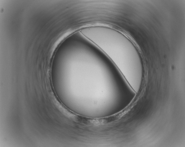 X0000062150805200512090949