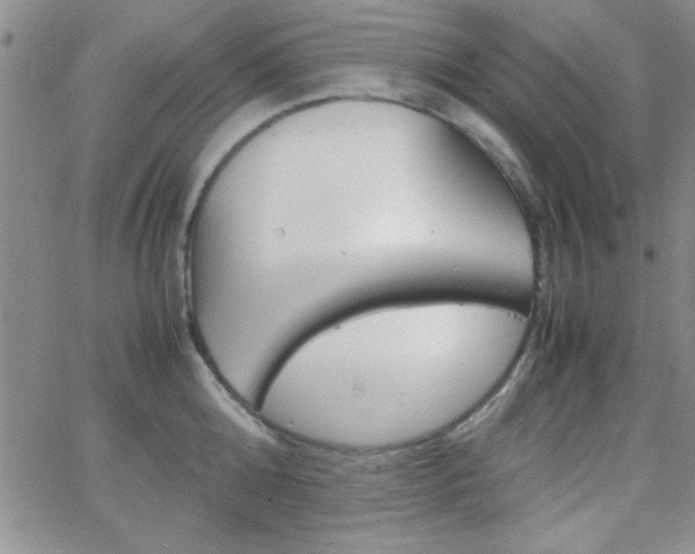 X0000062150808200512090949