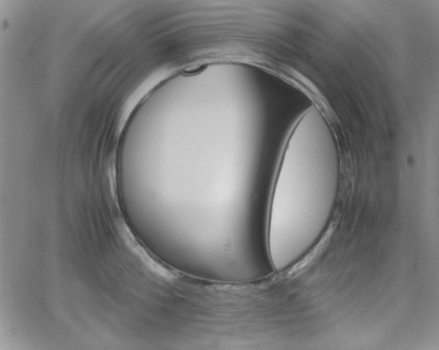 X0000062150812200512090949