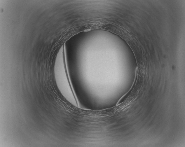 X0000062150818200512090948